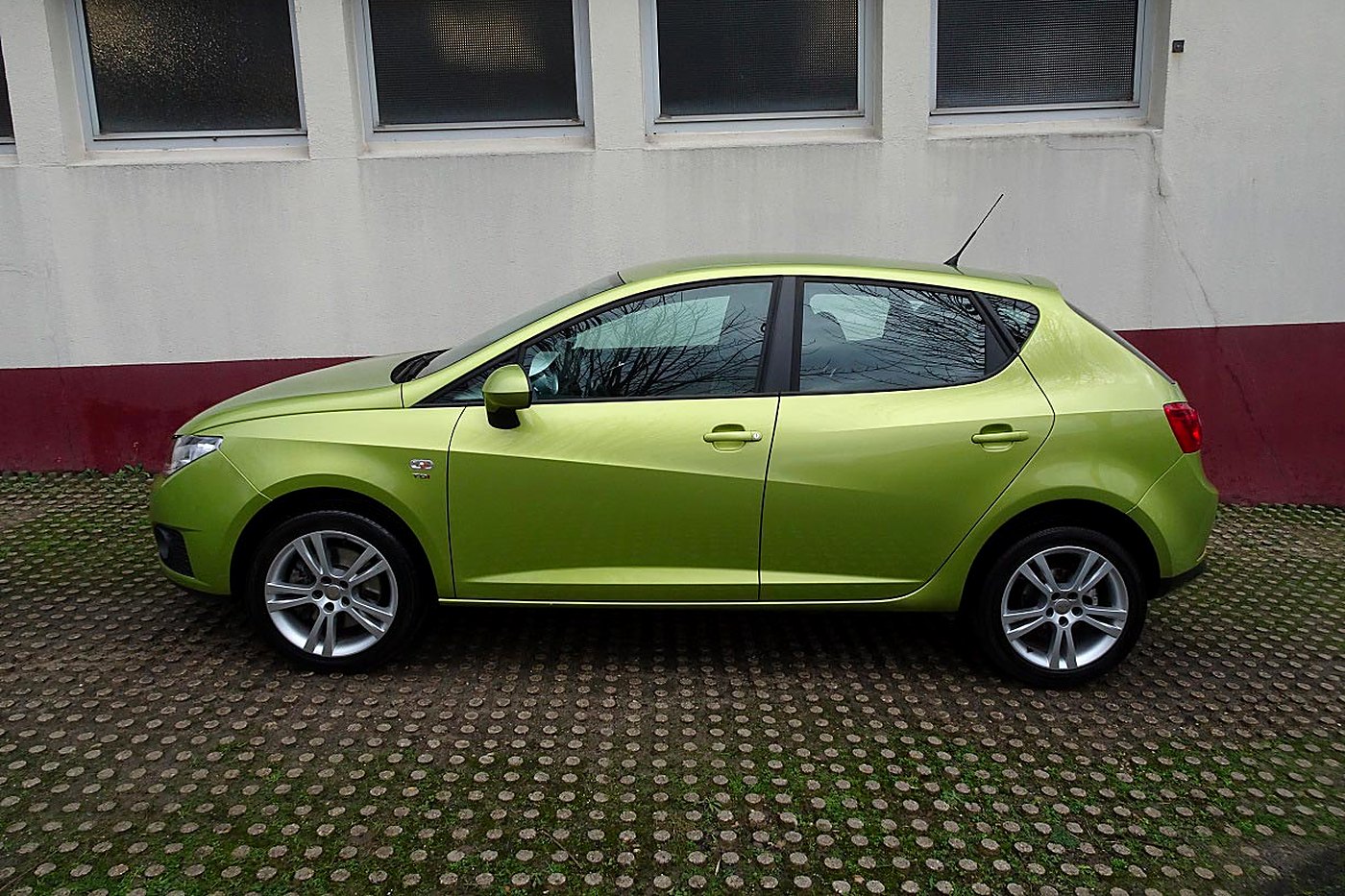 Seat Ibiza vert 5 portes de profil